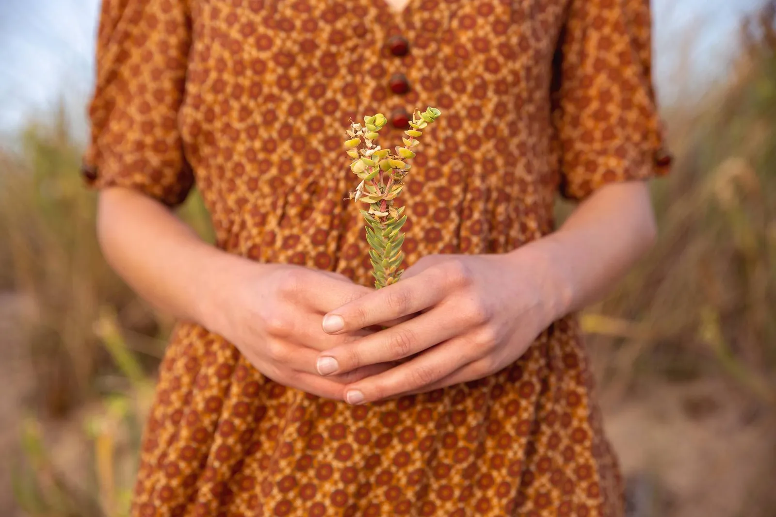 Hände, die sanft einen Zweig mit Blüten halten